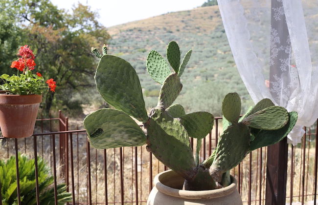 Masseria Fortificata Lo Zafferaneto - Foto 61