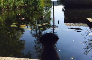 Matilda I-die außergewöhnliche Finnhütte - Foto 36