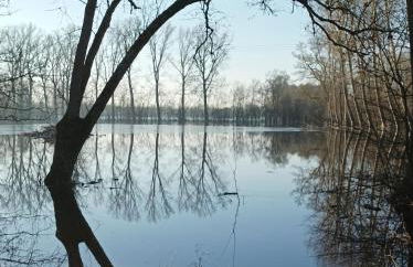 Logis de LANGE apt les Ecureuils - Foto 13