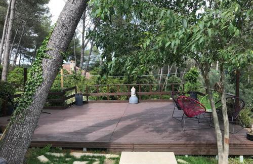 Independent studio st Clement of rivers 5 mn montpellier - Foto 6