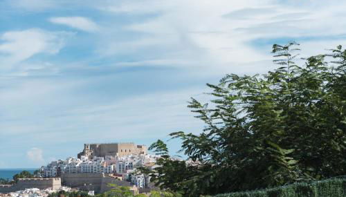 Blue Marine - Photo 3