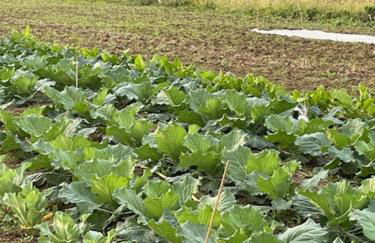 Agriturismo La Fattoria Del Boschetto - Photo 62