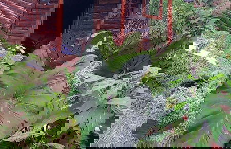 Karangura trekkers eco camp - Photo 3