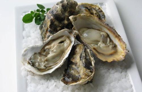 Appartement Ô Nid Perché Vue mer - Foto 24