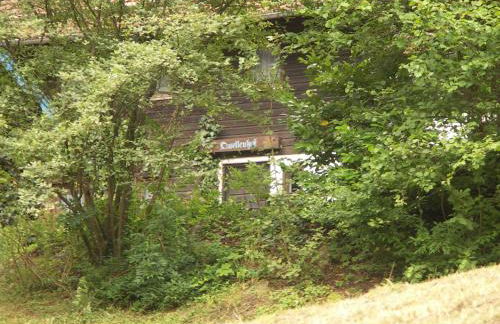 Quellenhof Kollnburg - Foto 1