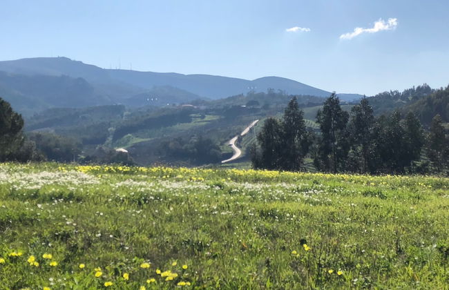 Terra Luso - Foto 13