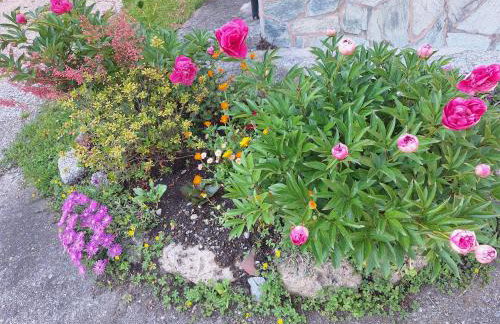 Casa di gianni - Photo 37