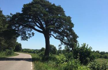 Domek nad Bugiem z Sauną - Foto 36