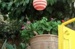 Climb and dive South ! - Foto 42