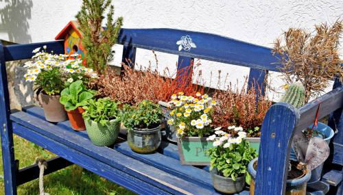 Ferienwohnungen Familie Looks - Foto 4