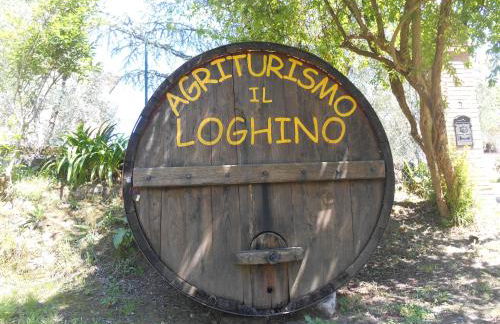 Agriturismo Il Loghino - Foto 18