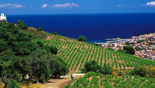 Charmant séjour au cœur des vignes de Banyuls - Foto 5