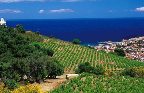 Charmant séjour au cœur des vignes de Banyuls - Foto 5