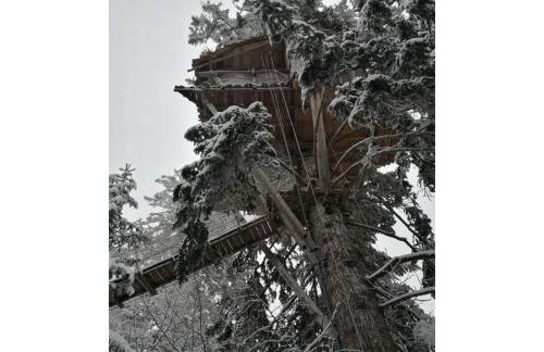 Cabanes des Volcans - Foto 25