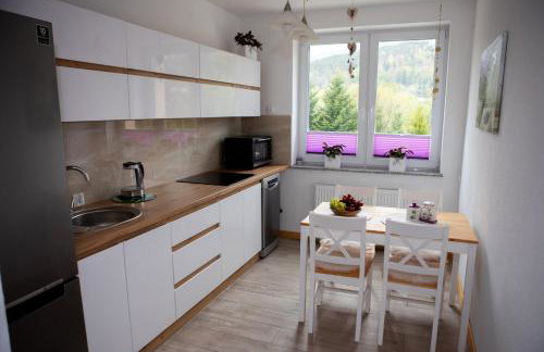 Mieszkanie Węgierska Górka - Foto 1