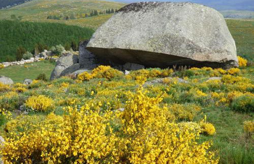 Chez Sylvie La Brousse Mont Lozère - Foto 14