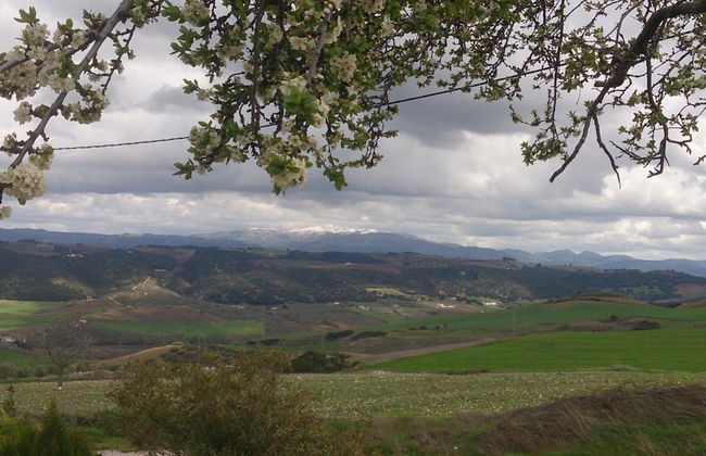 La Escuela del Campo - Photo 26