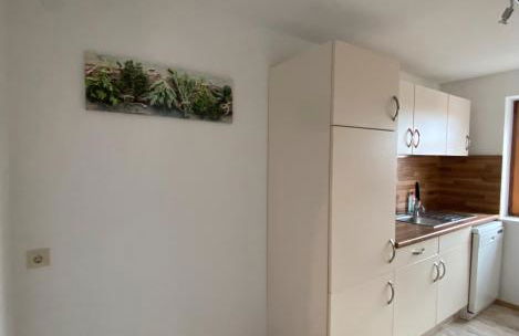 Schwarzwaldnest Dachsberg - Foto 17