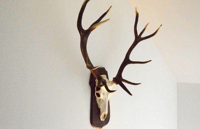 Elegant Child Friendly Villa in Berismenil near Forest - Foto 24