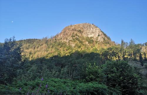 Stybeck Farm - Foto 15