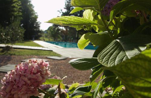 LO CANTO - Piscine & Spa - Près d'Albi et Cordes - Foto 45