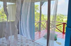 Premium Amazon Jungle Lodge - Foto 18