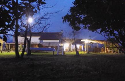 Agriturismo il Podere Vedelago con San Bernardo, Alpaca e una Pentola di cose da scoprire - Foto 72