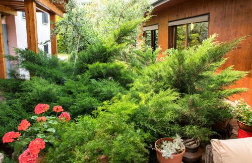 Dolce Casetta - Foto 10