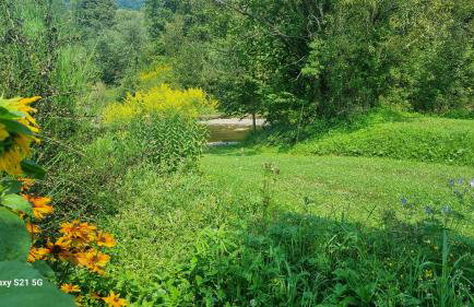 Pod Smerekiem - Photo 20