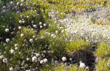 casa mirice in residence con piscina ,wifi,climatizzatore vicino al mare - Photo 28