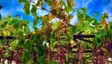 The Chill Casa - Foto 5