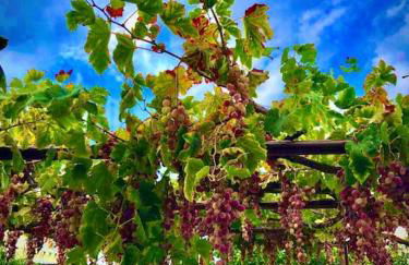 The Chill Casa - Foto 5