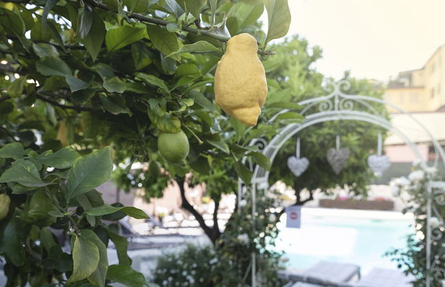 Affittacamere Villa Marcella - Foto 68