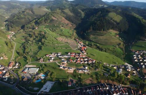 Ferienwohnungen Beilerstädtle - Foto 15