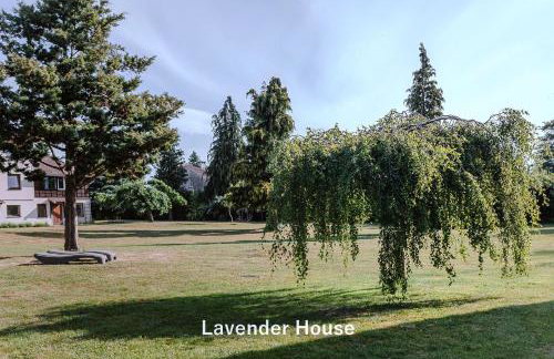 Lavender House - Foto 33