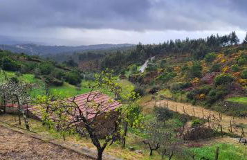 Quinta Dos Kiwis - Foto 14