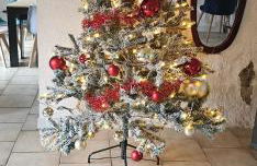 Le Phoenix - gîte 15 personnes parc naturel Vosges Saônoises - Foto 11