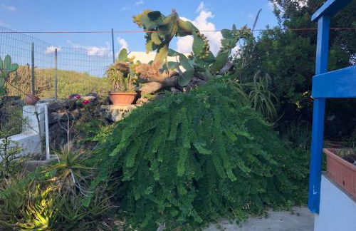 Accogliente Bilocale Linosa - Foto 17