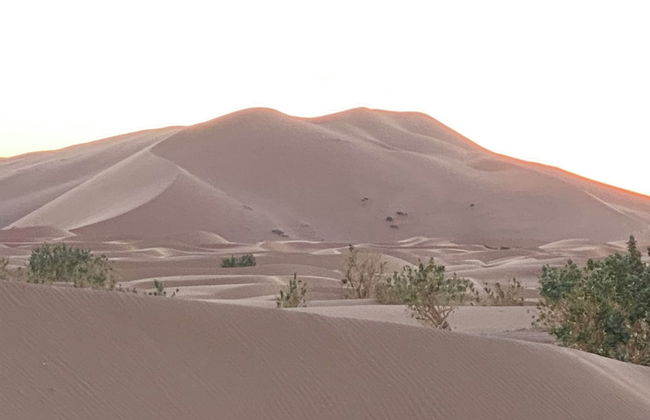 erg Chebbi sahara camp - Photo 8