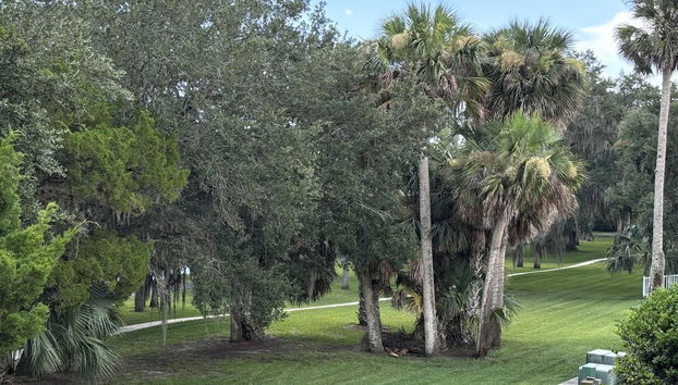 Palm Coast Hideaway by Distinctive Beach Rentals - Foto 3, Servicios del alojamiento