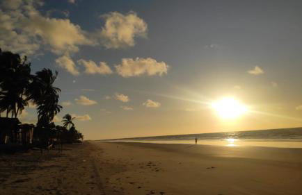Casa beira mar com piscina Coruripe Povoado Miai de cima - Foto 39