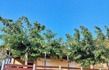 Beach front house at Agios Ilias Pyrgos Near Ancient Olympia - Photo 25