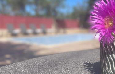 Nissi Collection Rooms - Foto 52