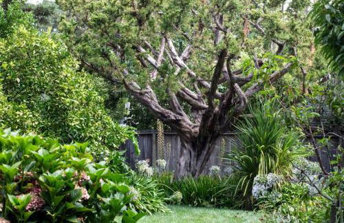 Secret garden home near Stanford - Foto 26