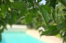 Au séchoir à Tabac - Foto 35