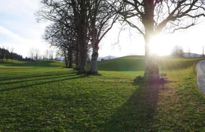 Zum Kistlerwirt - Foto 35