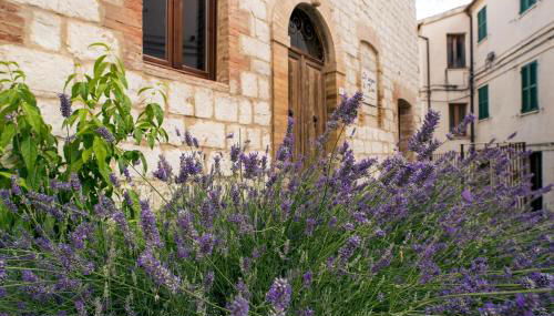 Il Sogno di Tino - Foto 3