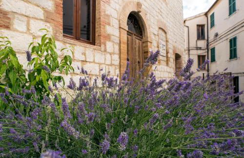 Il Sogno di Tino - Photo 3