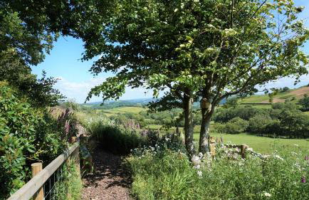 Shepherd's Watch Cottage - 5* Cyfie Farm with private hot tub - Foto 8