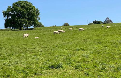 Mallards Barn on a rural farm - Foto 24